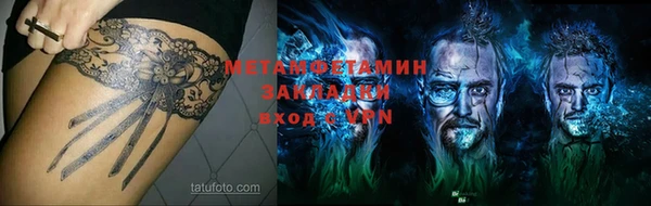 прущие грибы Вяземский