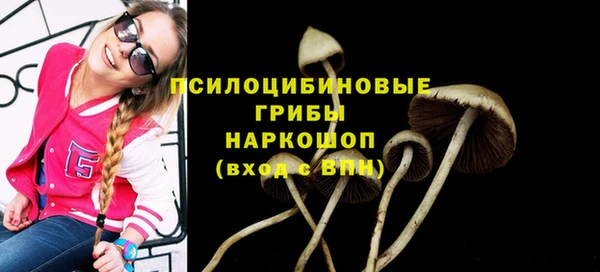 эйфоретик Абинск